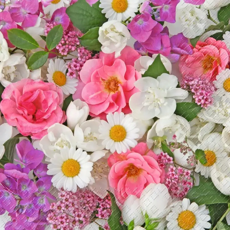 Condolence image of Unbekannt