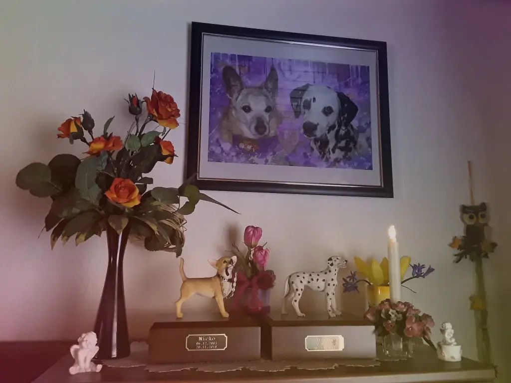 Condolence image of Michaela 