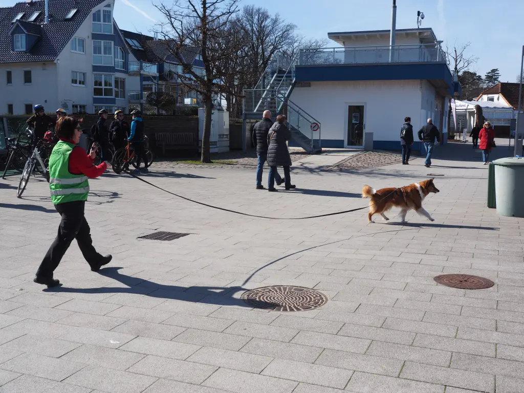 Condolence image of von Katharina