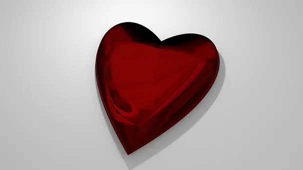 Condolence image of Anja mit Joy im Herzen ❤