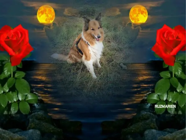 Condolence image of ❤️❤️❤️