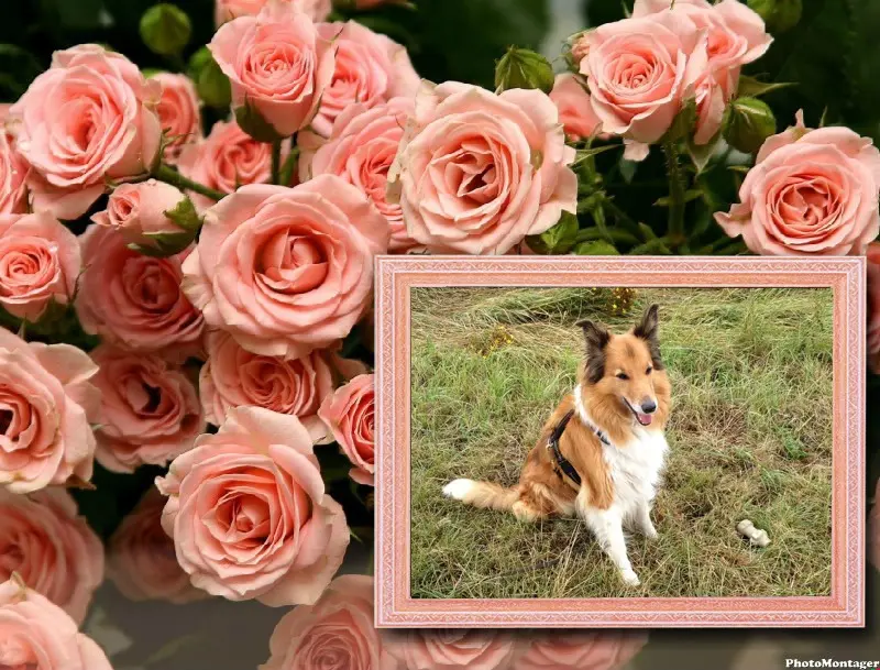 Condolence image of ❤️❤️❤️