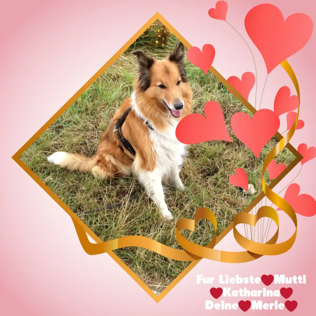 Condolence image of ❤️❤️❤️