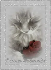 Condolence image of Uschi mit Seelenkatzen Jojo und Merlin