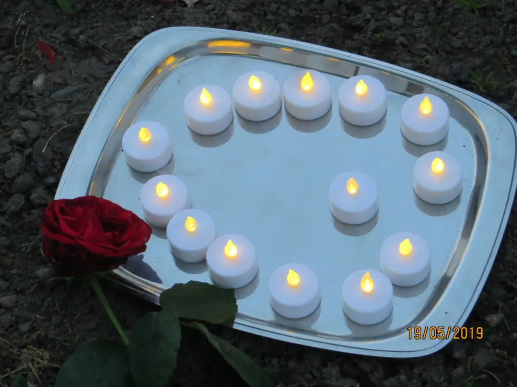 Condolence image of Jojo aus dem Regenbogenland