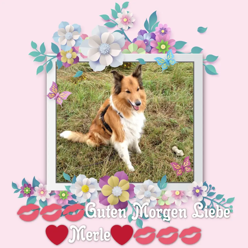 Condolence image of ❤️❤️❤️