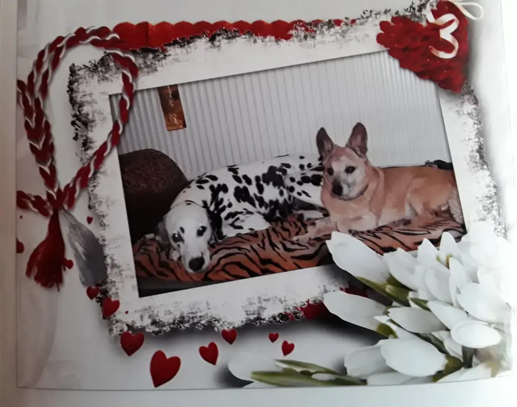 Condolence image of Michaela mit Nicko und Ariane ganz tief im ❤