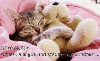 Condolence image of Uschi mit Seelenkatzen Jojo und Merlin