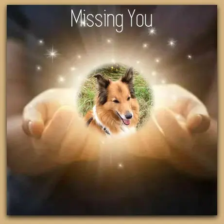 Condolence image of ❤️❤️❤️