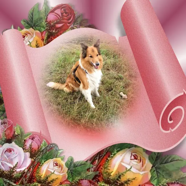 Condolence image of ❤️❤️❤️