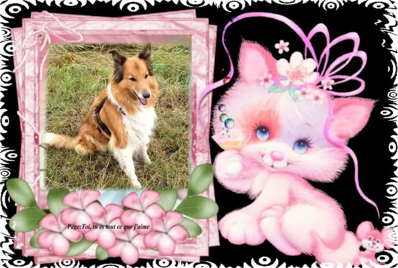 Condolence image of ❤️❤️❤️