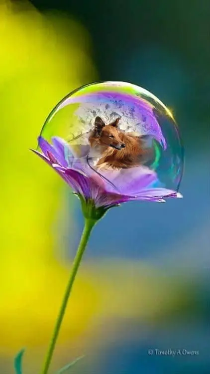 Condolence image of ❤️❤️❤️