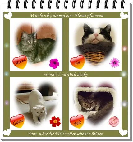 Condolence image of Ilse mit Jule, Gismo, Fee und Minna tief im Herzen