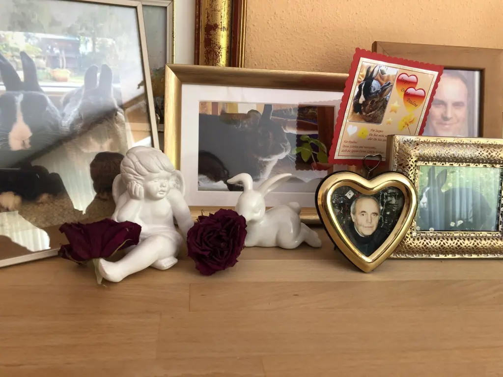 Condolence image of Eine Rose zum Wochenende