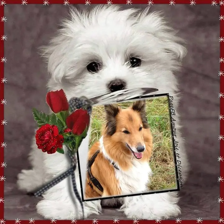 Condolence image of ❤️❤️❤️