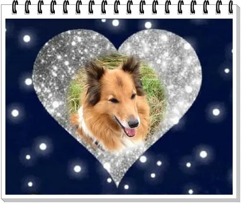 Condolence image of ❤️❤️❤️