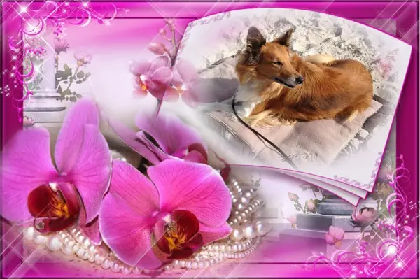 Condolence image of ❤️❤️❤️