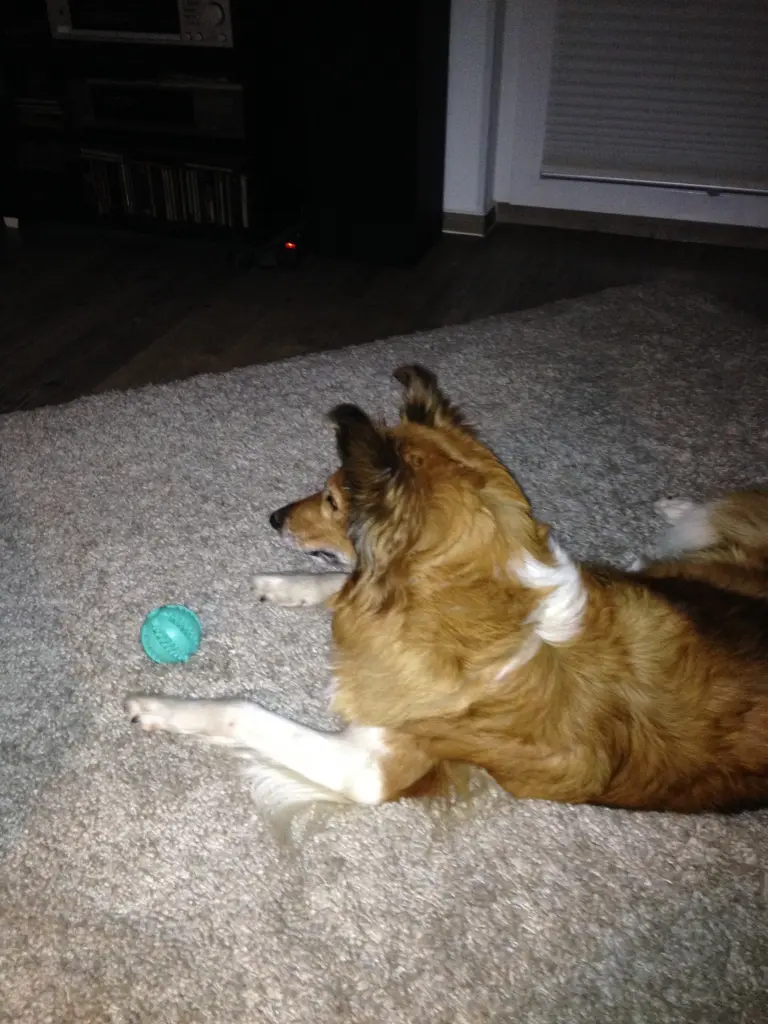 Condolence image of Unbekannt