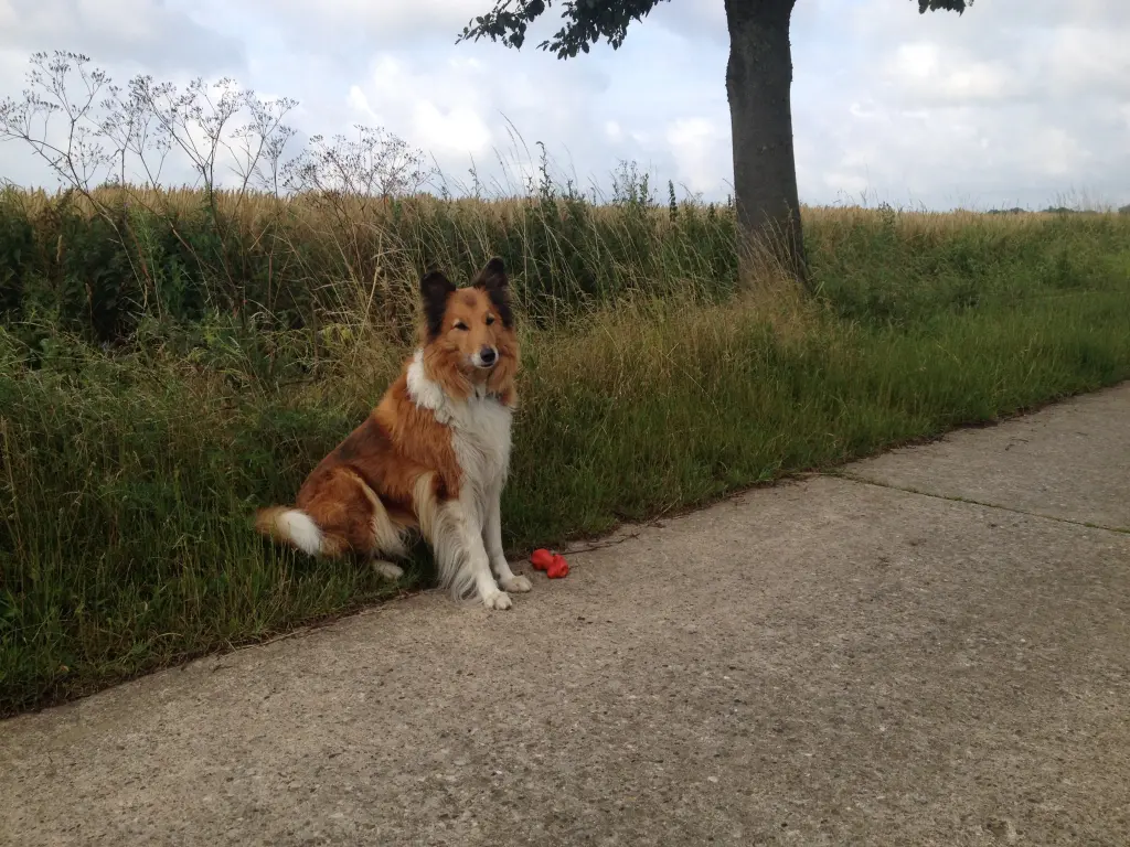 Condolence image of Unbekannt