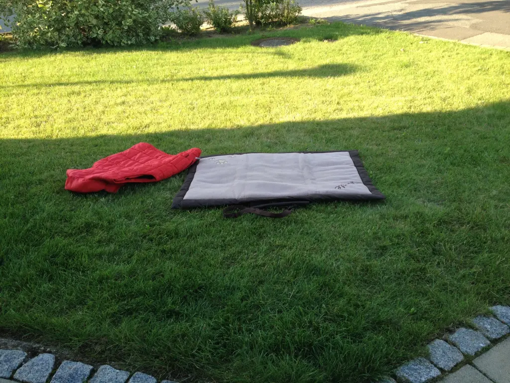 Condolence image of Katharina