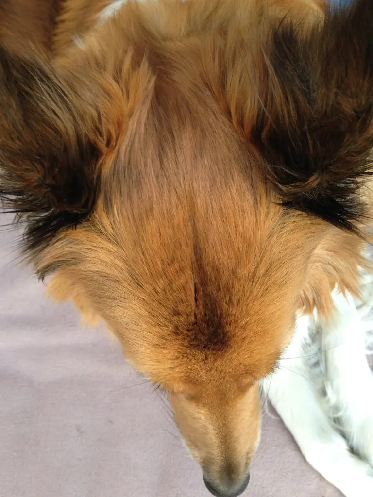 Condolence image of von Katharina