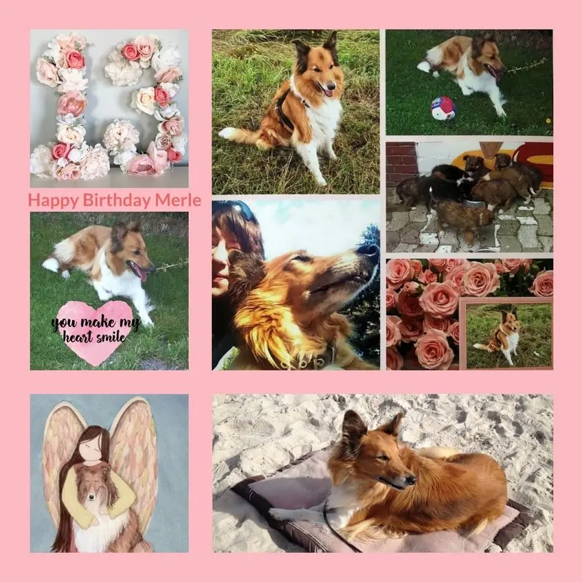 Condolence image of Happy Birthday Merle