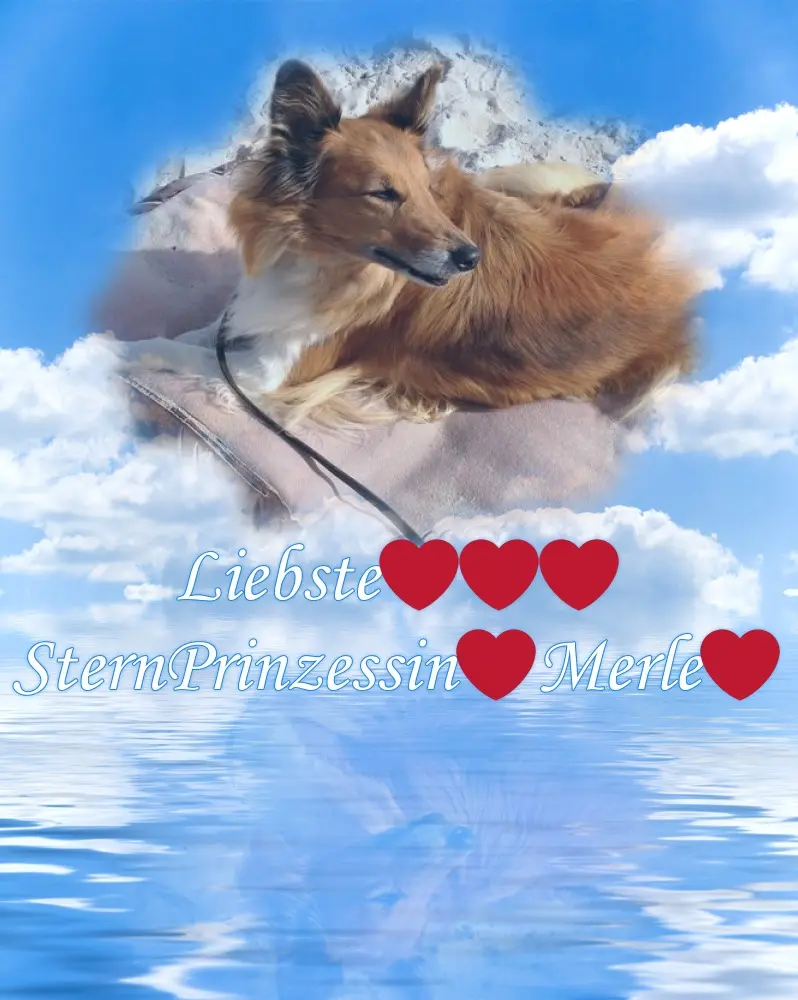 Condolence image of ❤️❤️❤️