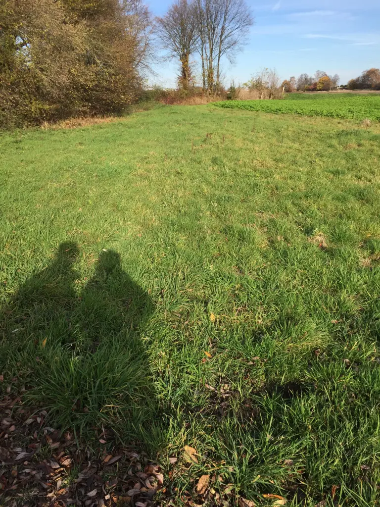 Condolence image of Schatzmaus