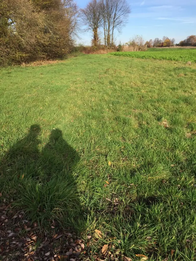 Condolence image of Für Schatzmaus 