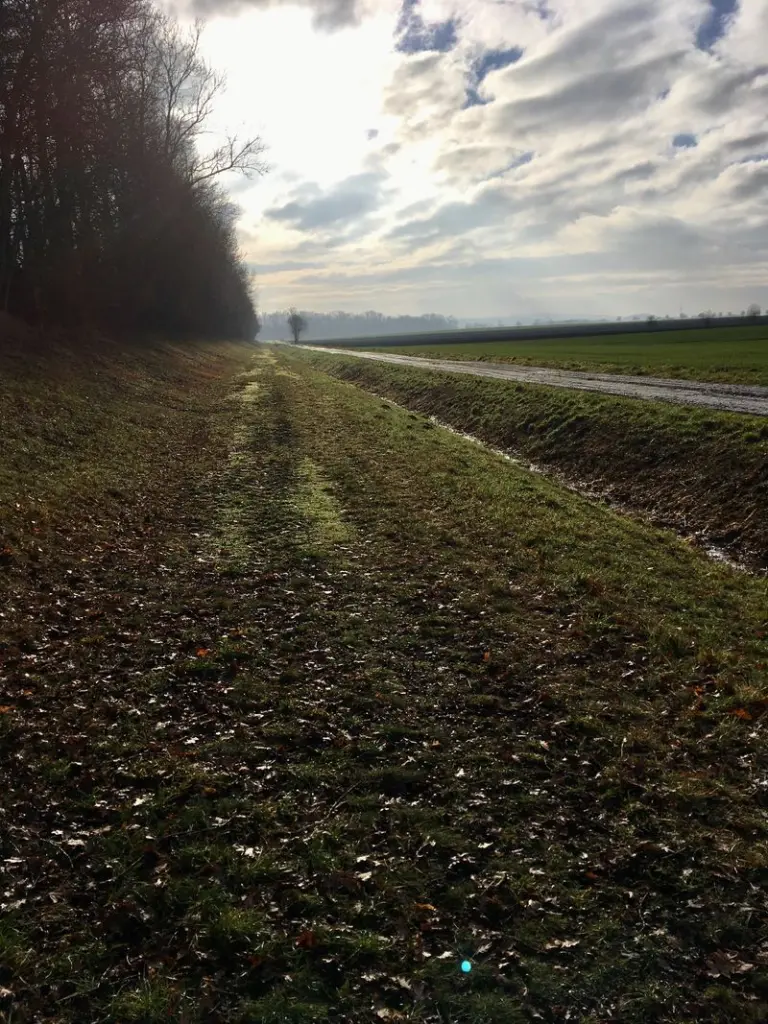 Condolence image of für Schatzmaus