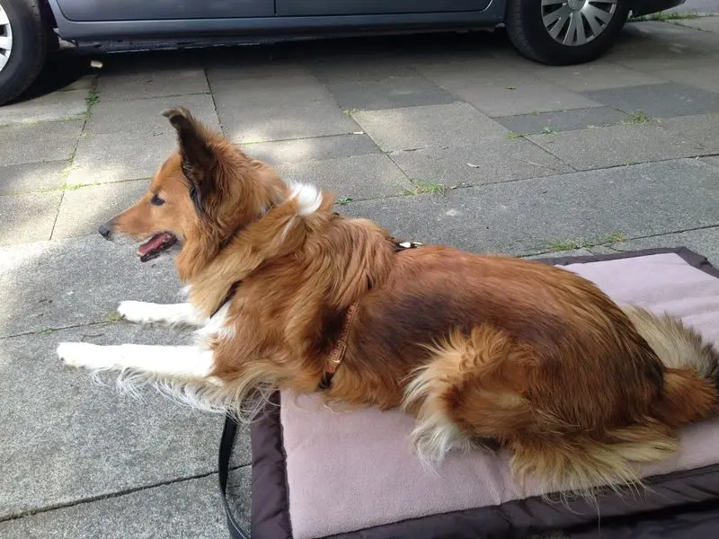 Condolence image of Unbekannt