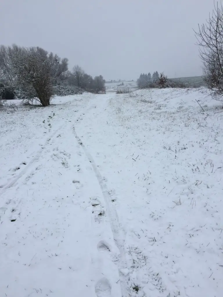 Condolence image of Für Schatzmaus