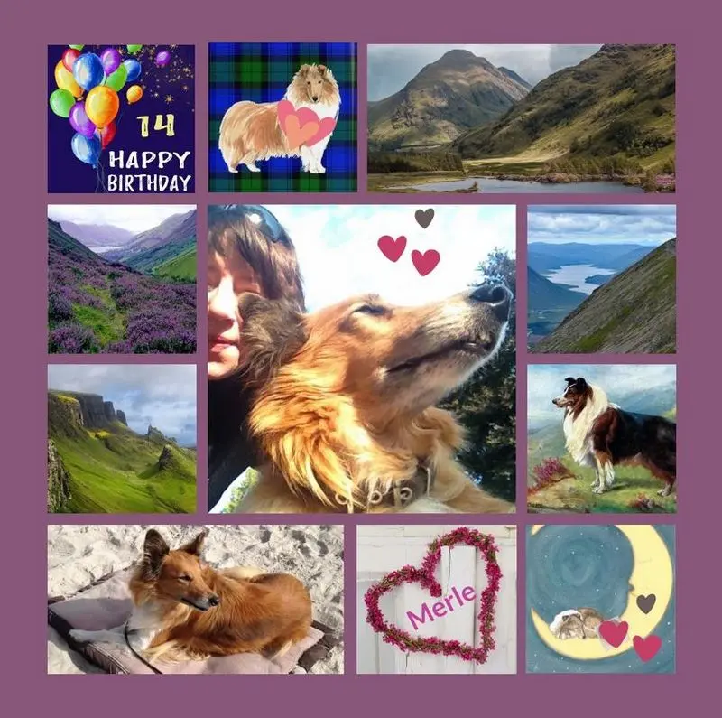 Condolence image of Happy Birthday Merle