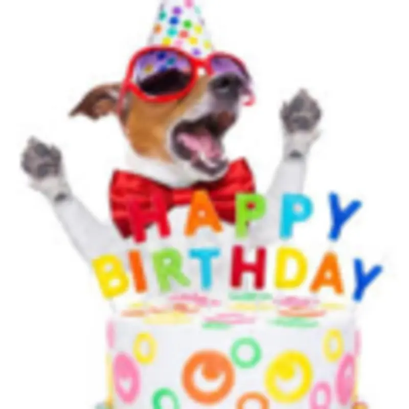 Condolence image of Marga mit Rambo im Herzen