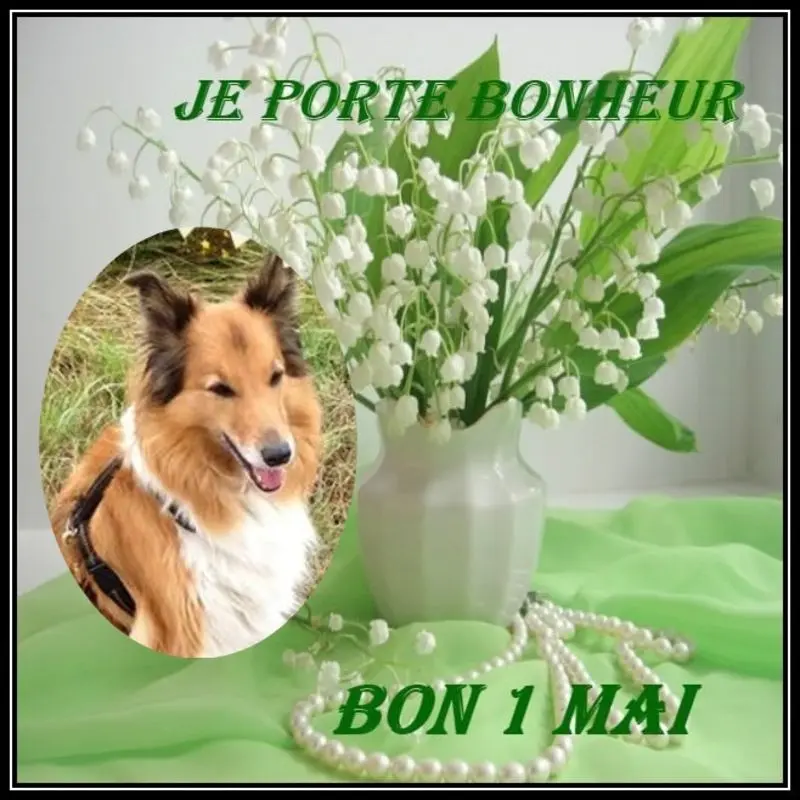 Condolence image of ❤️❤️❤️❤️❤️❤️❤️❤️❤️❤️❤️❤️❤️❤️