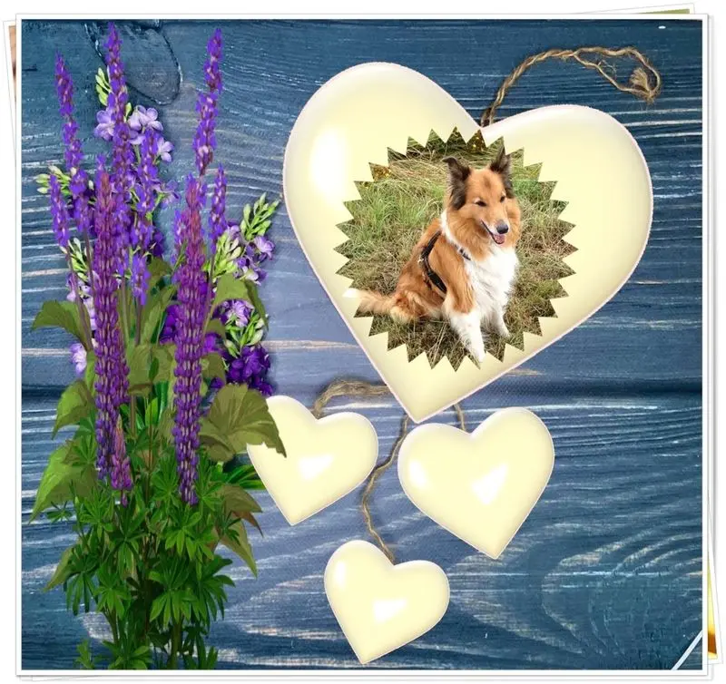 Condolence image of ❤️❤️❤️❤️❤️❤️❤️❤️❤️❤️❤️❤️❤️❤️