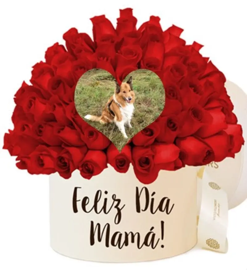 Condolence image of ❤️Mama❤️