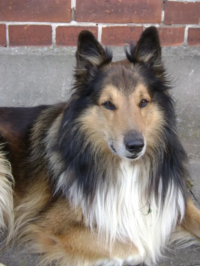 Condolence image of Heike Schröder