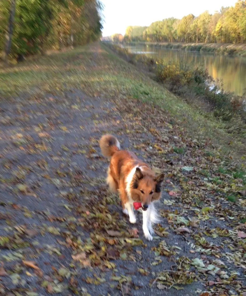 Condolence image of von Katharina