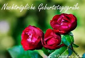 Condolence image of Nachträglich Geburtstagsgrüße von Brigitte