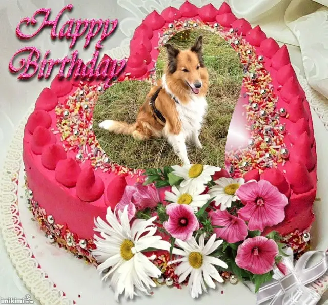 Condolence image of 16.Geburtstag❤️❤️❤️❤️❤️❤️❤️❤️❤️❤️❤️❤️❤️❤️❤️❤️❤️