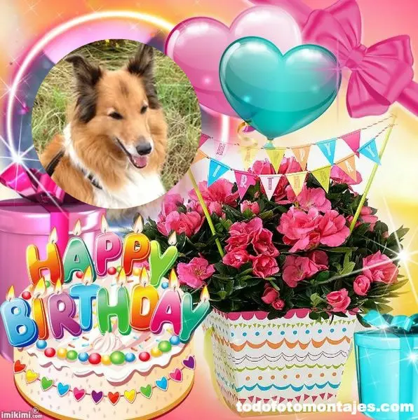 Condolence image of 16.Geburtstag❤️❤️❤️❤️❤️❤️❤️❤️❤️❤️❤️❤️❤️❤️❤️❤️❤️