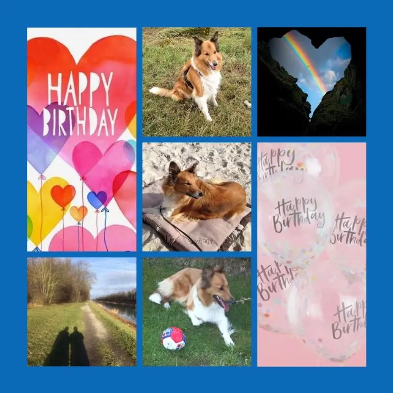 Condolence image of Geburtstagsrosen für Merle 