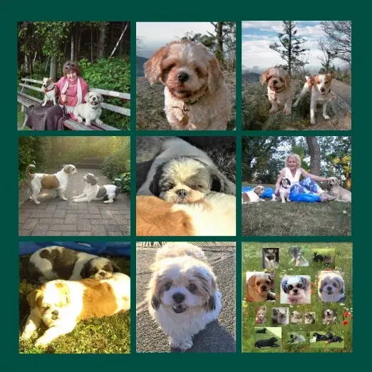 Condolence image of Danke