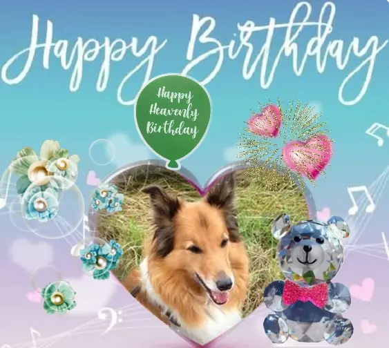 Condolence image of 17.Geburtstag❤️❤️❤️❤️❤️❤️❤️❤️❤️❤️❤️❤️❤️❤️❤️❤️❤️