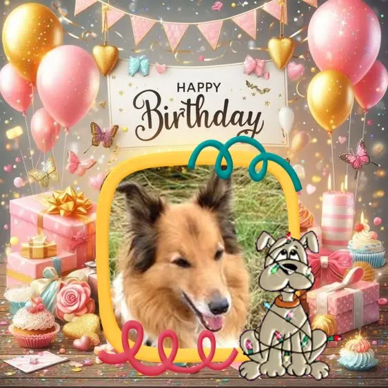 Condolence image of ❤️❤️❤️❤️❤️❤️❤️❤️❤️❤️❤️❤️