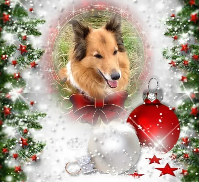 Condolence image of Frohe Weihnachten❤️⭐️❤️