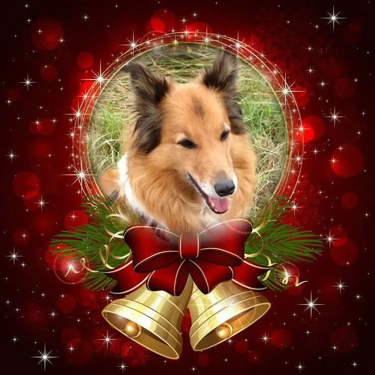 Condolence image of ❤️❤️❤️❤️❤️❤️❤️❤️❤️❤️❤️❤️