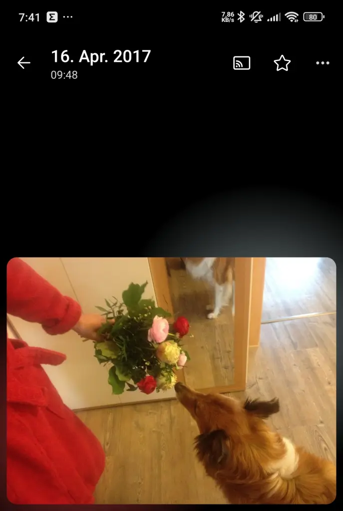 Condolence image of Wolfgang