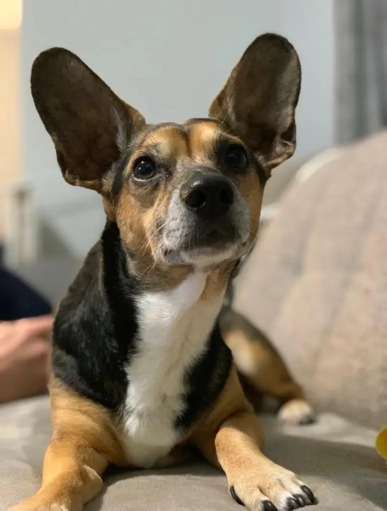 Condolence image of Elena mit Denny 